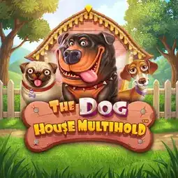 The Dog House Multihold game at Rocket Casino for Australian players The Dog House Multihold game at Rocket Casino for Australian players
